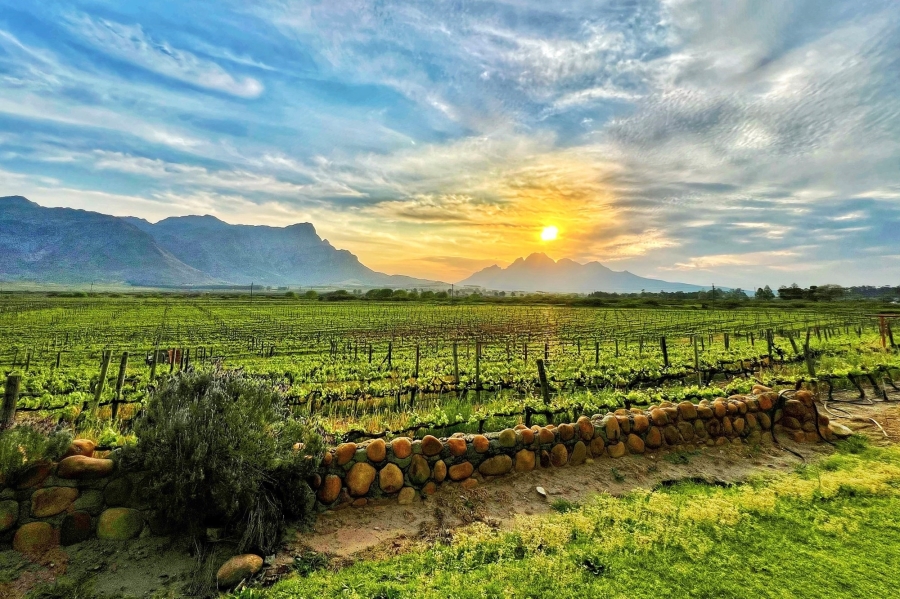 0 Bedroom Property for Sale in Franschhoek Rural Western Cape